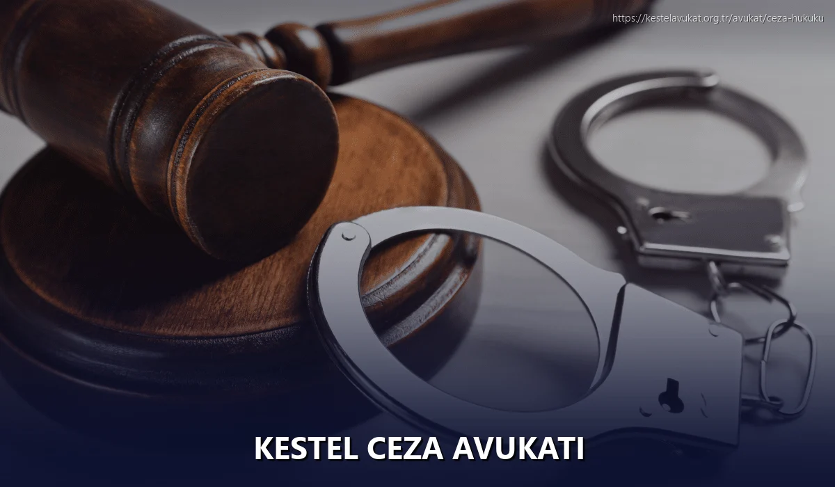 Kestel Ceza Avukatı